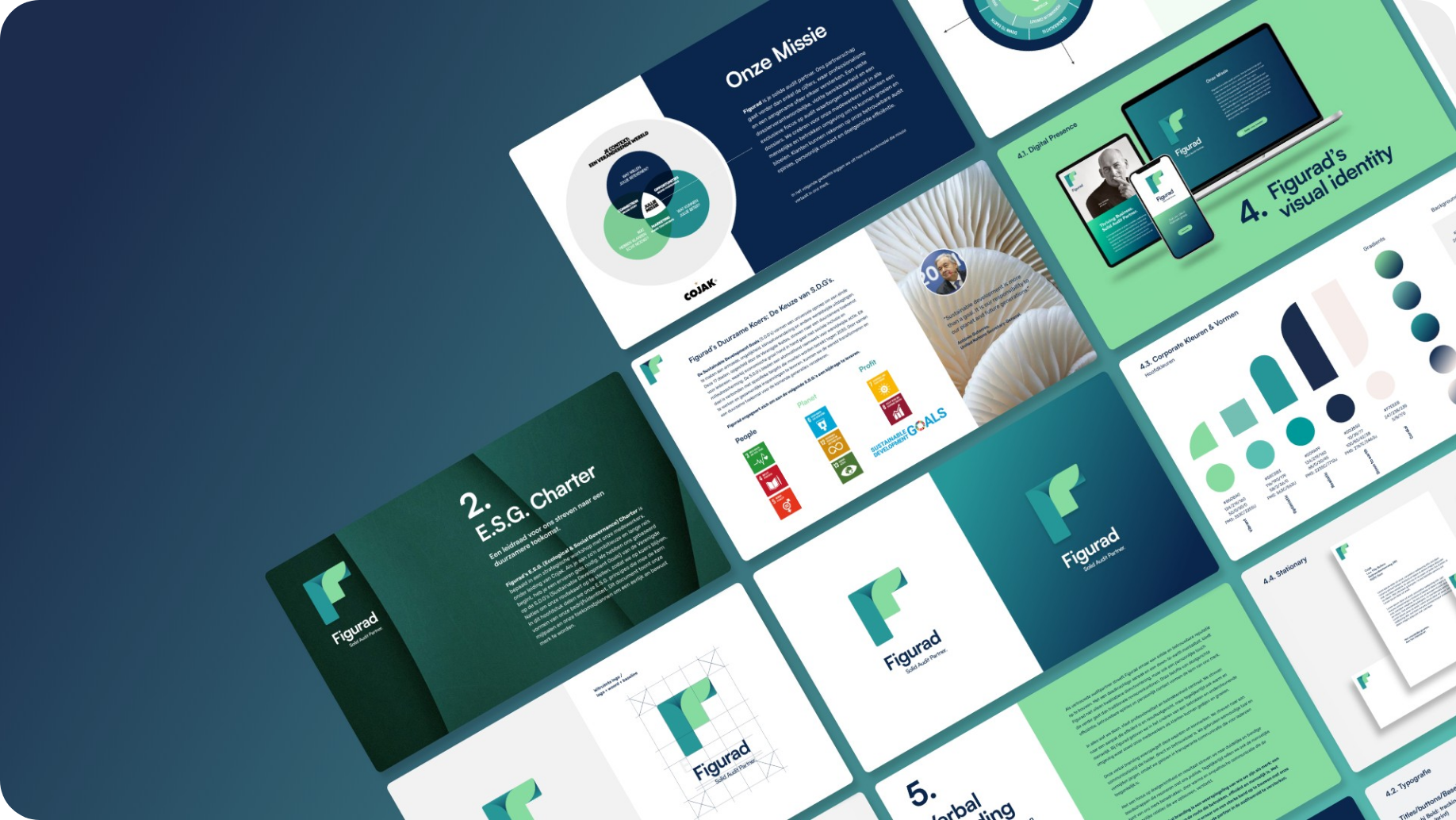 Brand Identity & Digital Presence