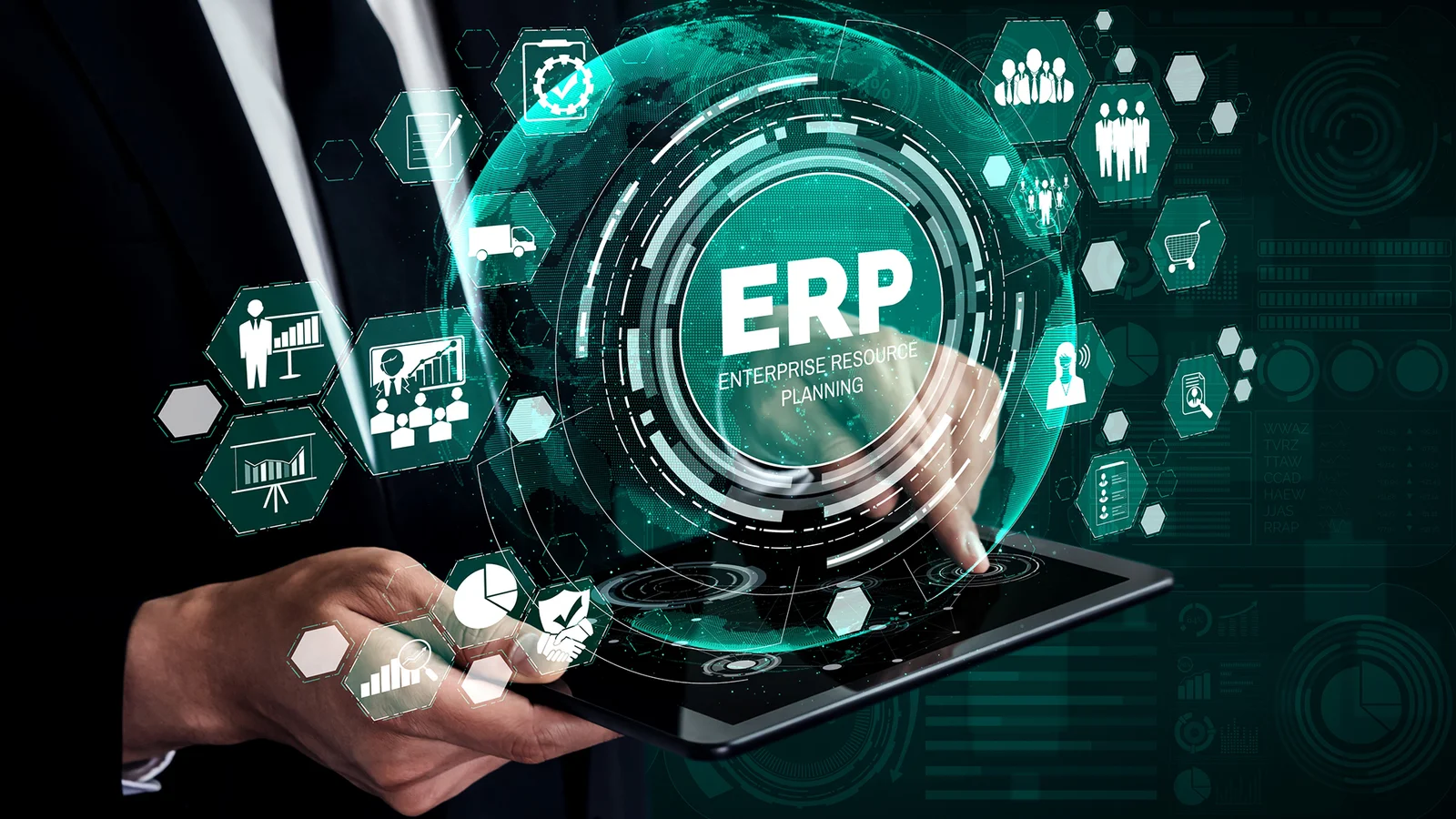 Enterprise Software Systems